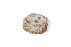 Image description is not available for 2002.4.8